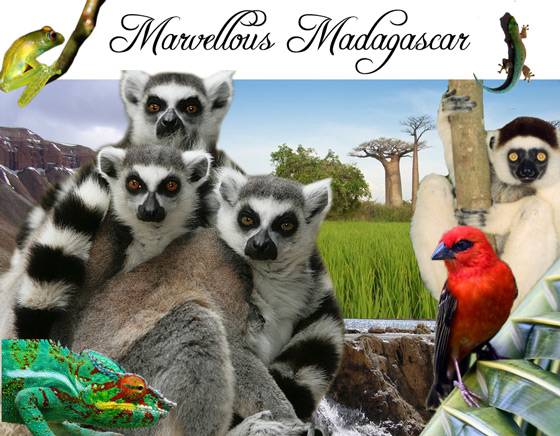 Marvellous Madagascar