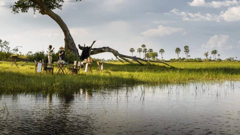 8-Night Okavango Delta Safari: Explore Botswana’s Iconic Wetlands