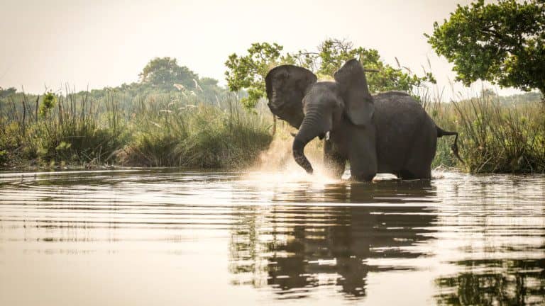 A 7-Night Romantic Safari from Victoria Falls to the Okavango Delta