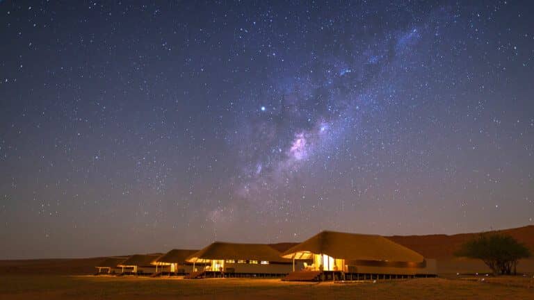 Namibia Fly-In Desert Safari: 7-Night Journey Across Wild Landscapes