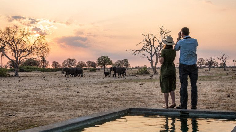 8-Night Zimbabwe Safari: Experience The Highlights Of Zimbabwe