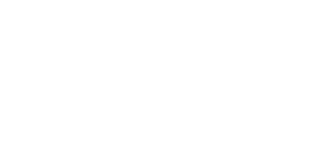Flywire Logo