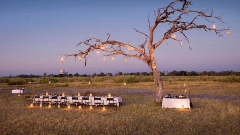 7-Night Botswana Fly-In Safari