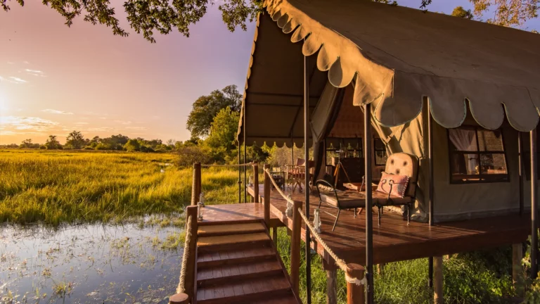 Cape Town to Okavango: Luxury 7-Night Safari Adventure